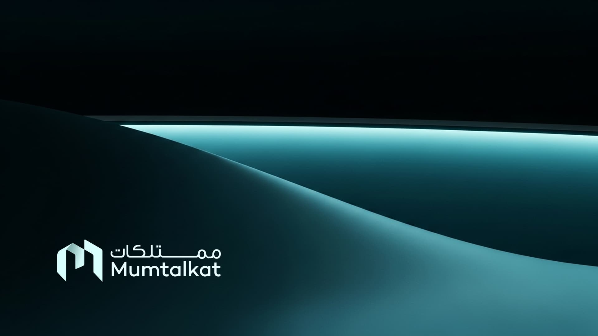 Presentation slide 17