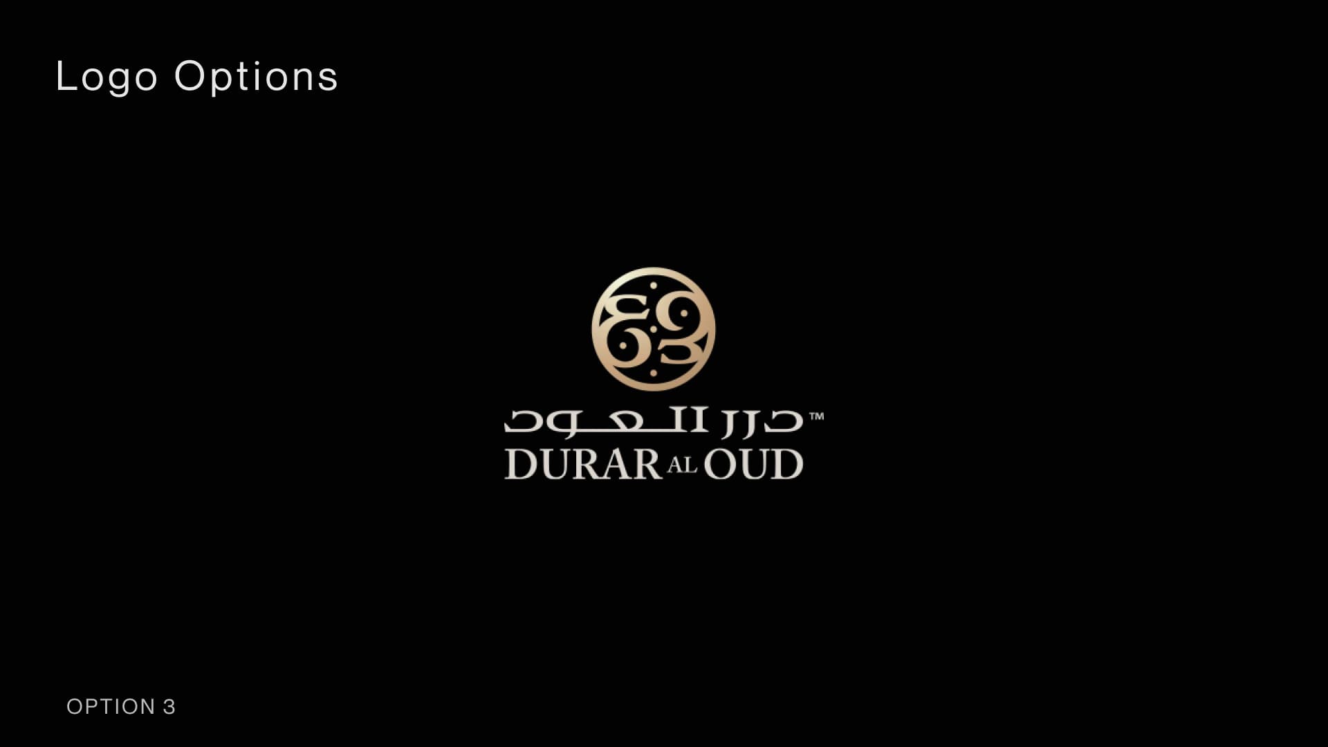 Presentation slide 9