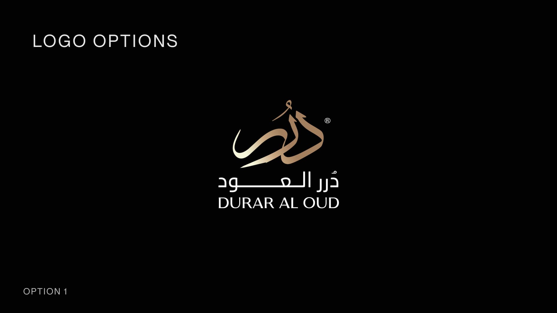 Presentation slide 5
