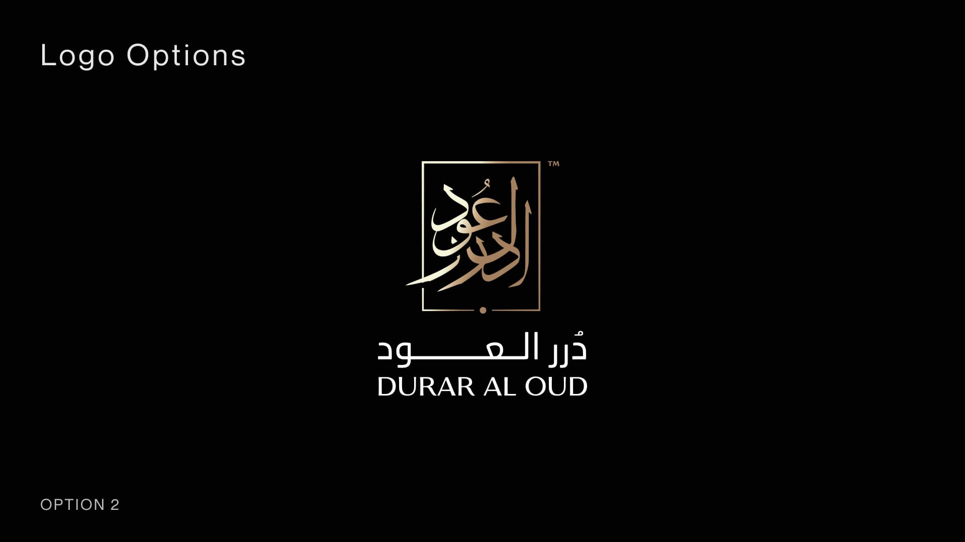 Presentation slide 6