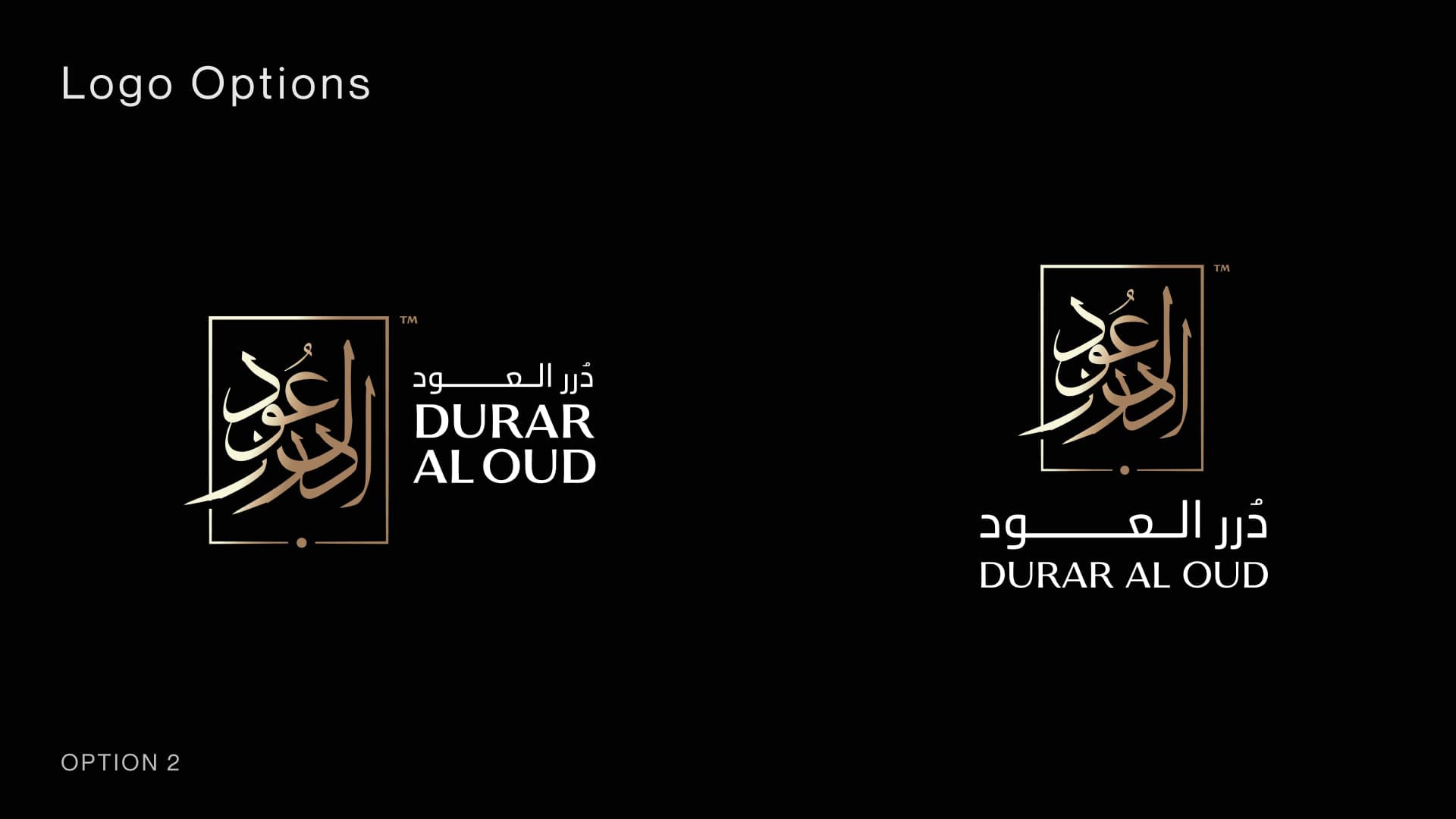 Presentation slide 4